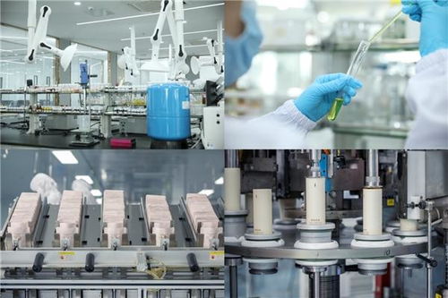 袋鼠媽媽天然國度入選創(chuàng)新服務(wù)重點(diǎn)企業(yè),打造強(qiáng)勁品牌力引領(lǐng)行業(yè)創(chuàng)新發(fā)展