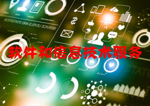 軟件和信息技術服務行業(yè)運行態(tài)勢與競爭格局分析 附報告目錄