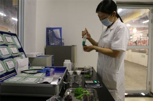 精誠(chéng)致遠(yuǎn)檢測(cè)技術(shù)服務(wù) 圖 農(nóng)殘檢測(cè)報(bào)告 博羅檢測(cè)報(bào)告