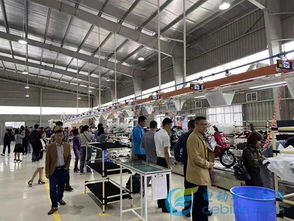 電動(dòng)車行業(yè)首家獨(dú)資海外工廠成立,雅迪助推中國(guó)制造走向世界